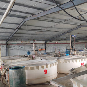 MAISON -8-Alumine fondue blanche - HAIXU